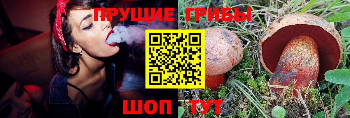 Псилоцибиновые грибы Psilocybe  Вход с VPN  Галлюциногенные грибы Psilocybe  Орёл 