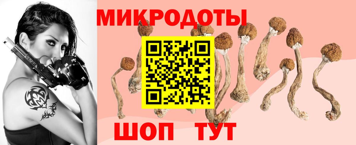 Псилоцибиновые грибы Psilocybine cubensis Орёл